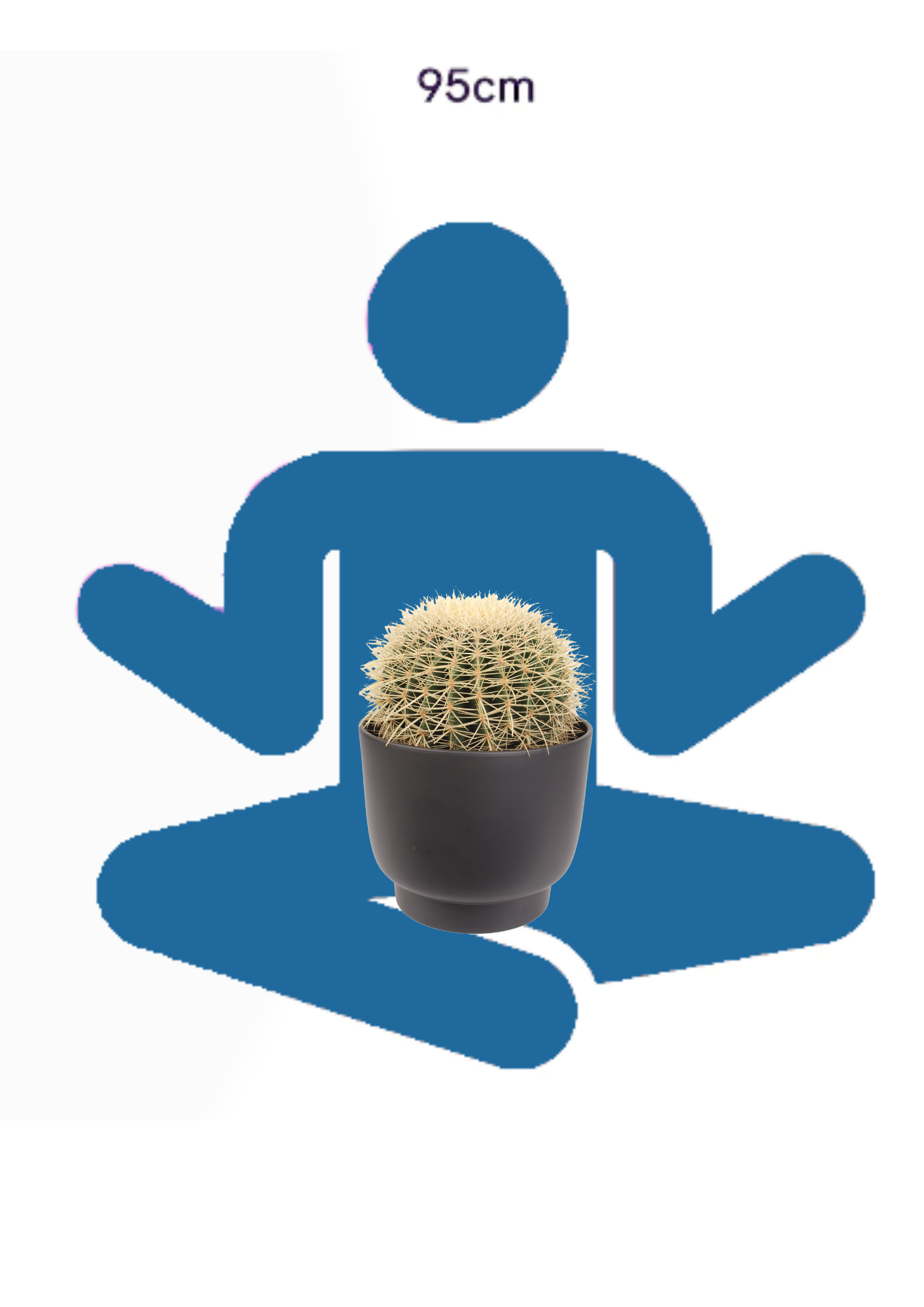 Die grosse Strahlende