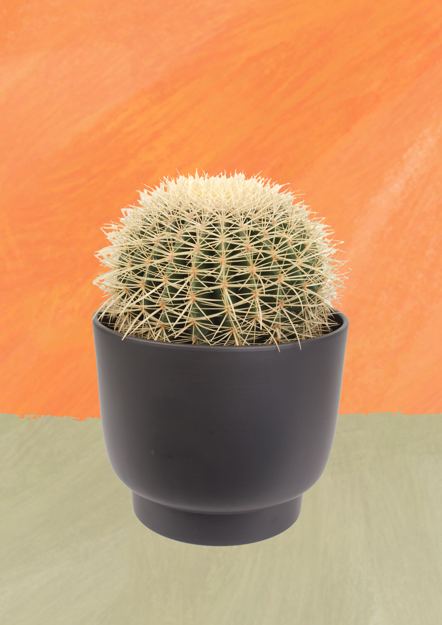 Die grosse Strahlende