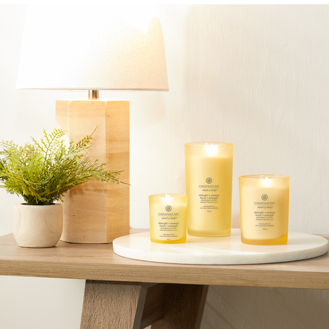 Chesapeake Bay Duftkerze Strength & Energy