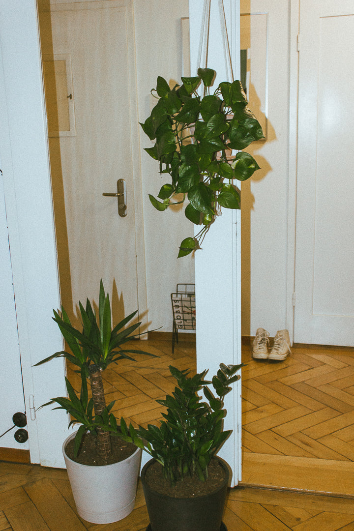 Makramee dünn (2.5 mm)